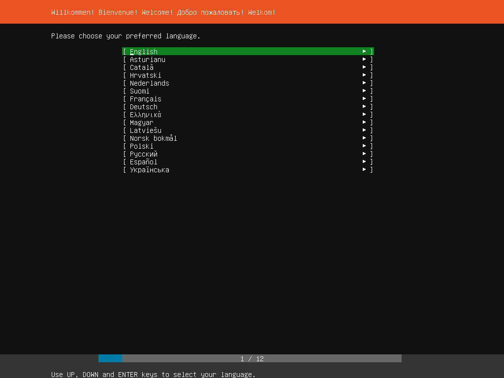 Ubuntu 20.04 LTS Server Live